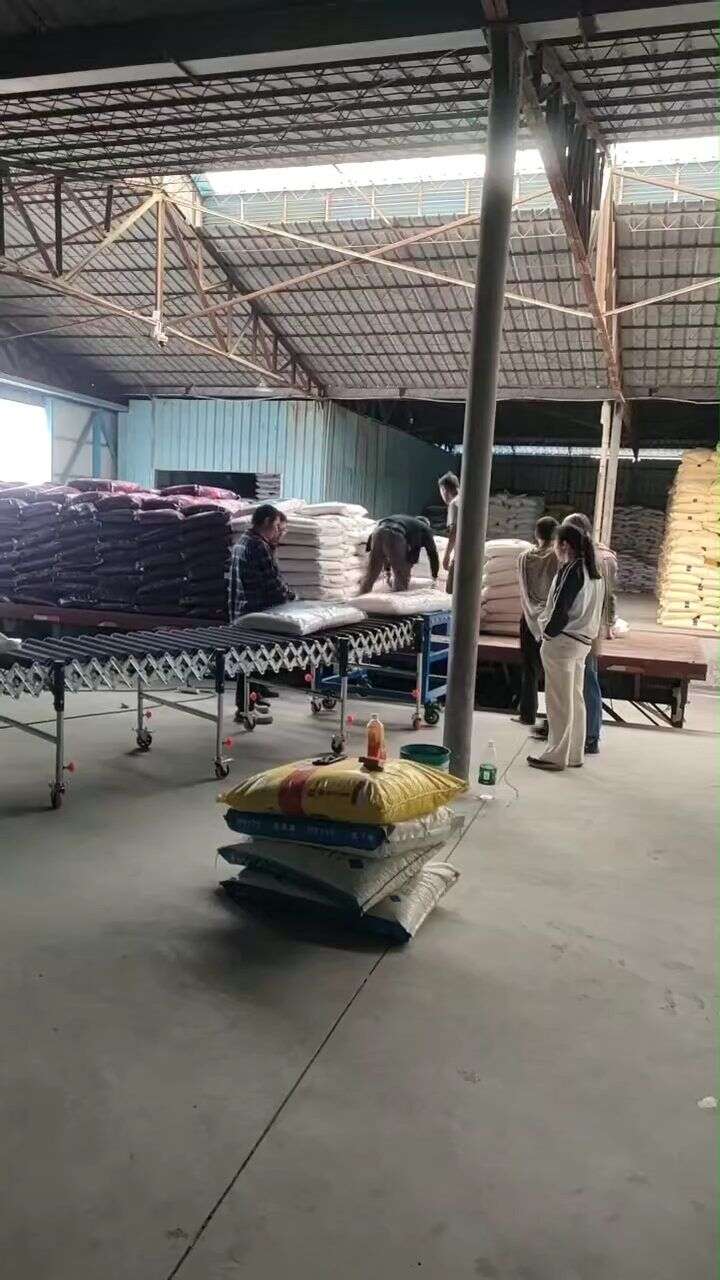 On-site operation demo of fertilizer warehouse using a rubber-covered roller conveyor and medium-duty conveyor to unload bagged fertilizer and lift and stack it - 5